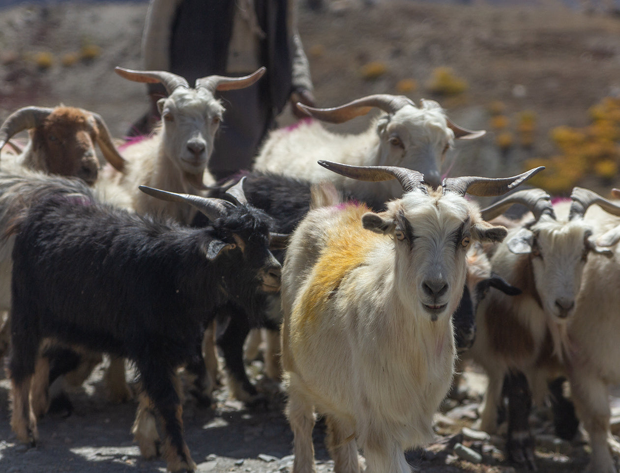 Från naturen, för hand – våra material