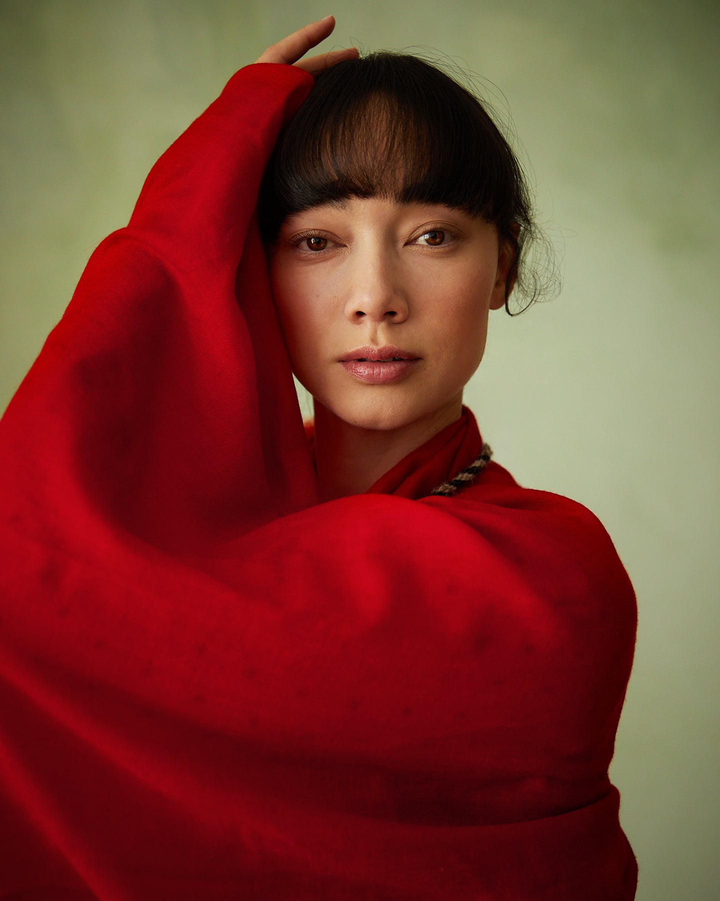 Pashmina Shawl from Ladakh, Kashmir - Exclusive 70 x 200 cm, Japan Red